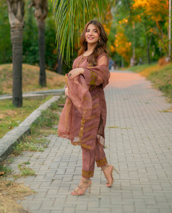 Dusty Pink Organza 3 piece for Women